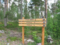 Kuva Henrik Paananen.