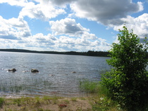 Kuva Henrik Paananen.